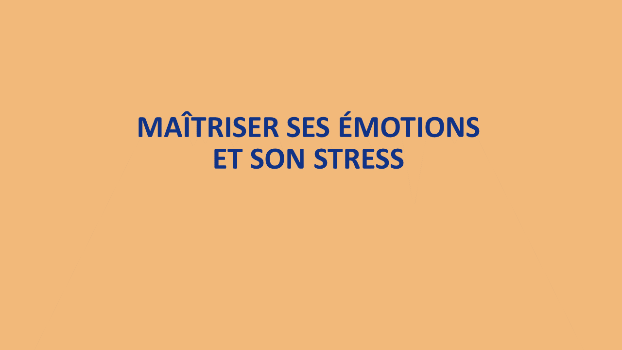 LANGLOIS-Consulting-gestion-stress